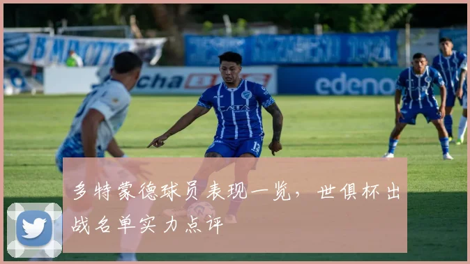 多特蒙德球员表现一览，世俱杯出战名单实力点评