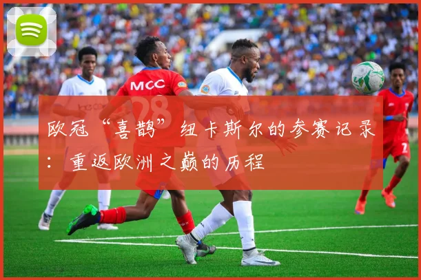 欧冠“喜鹊”纽卡斯尔的参赛记录：重返欧洲之巅的历程