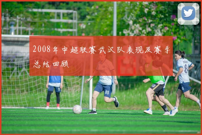 2008年中超联赛武汉队表现及赛季总结回顾