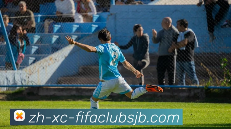 世界杯赛程服务体系