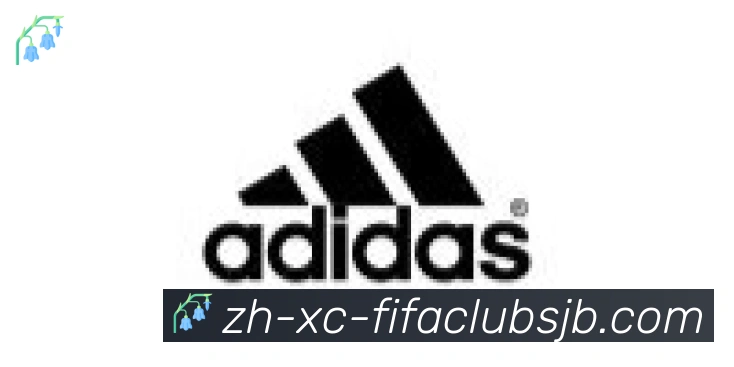 世界杯赛程合作伙伴