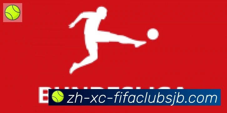 世界杯赛程合作伙伴